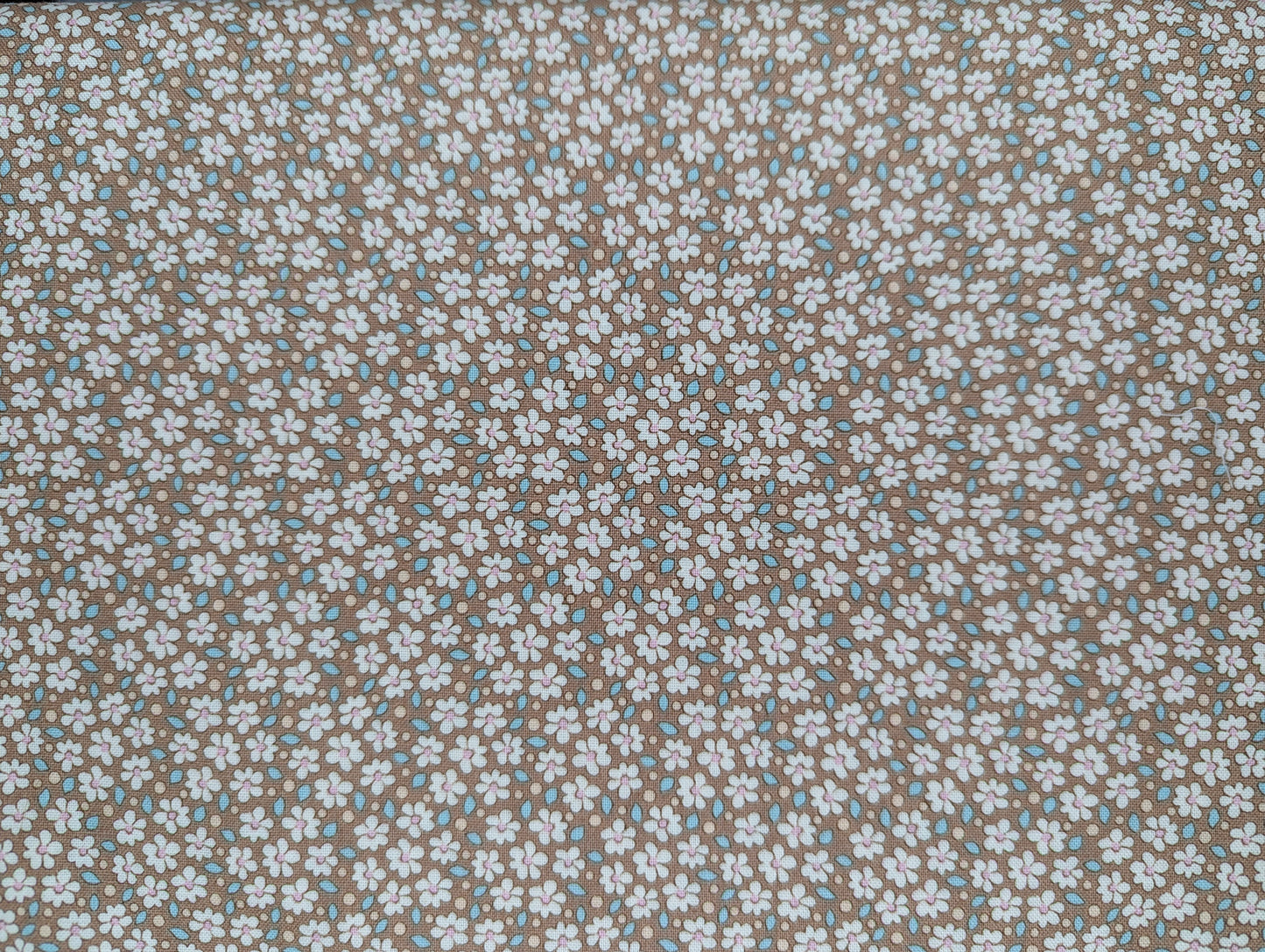 Bird Pond Brown