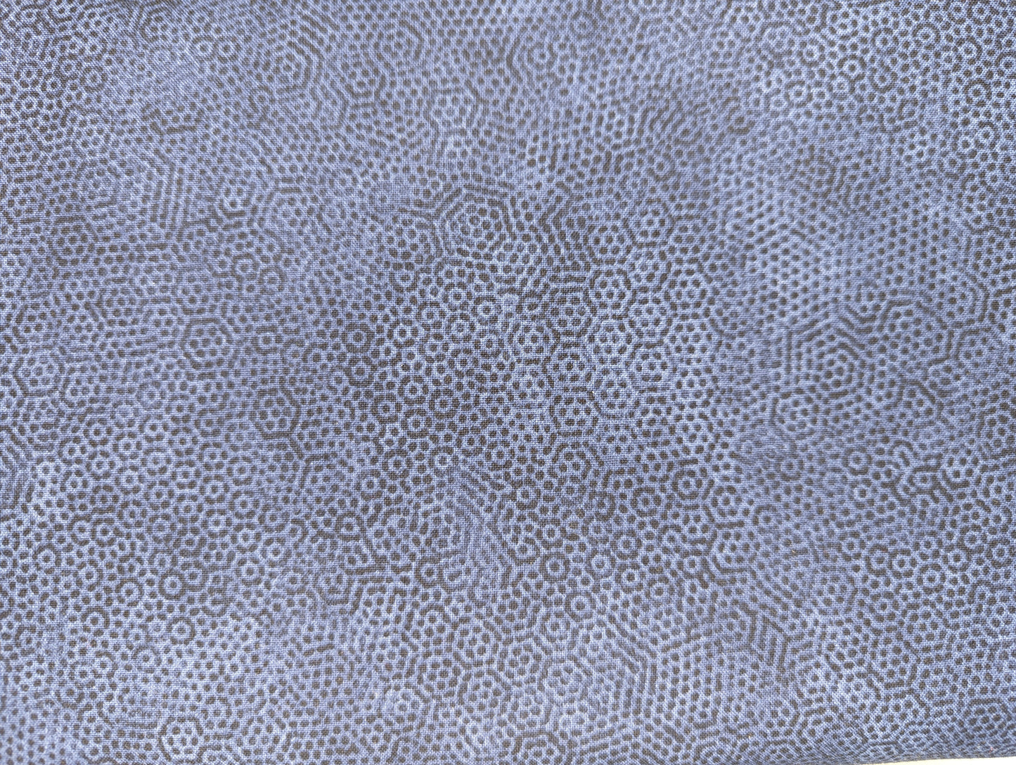 Blue Maze