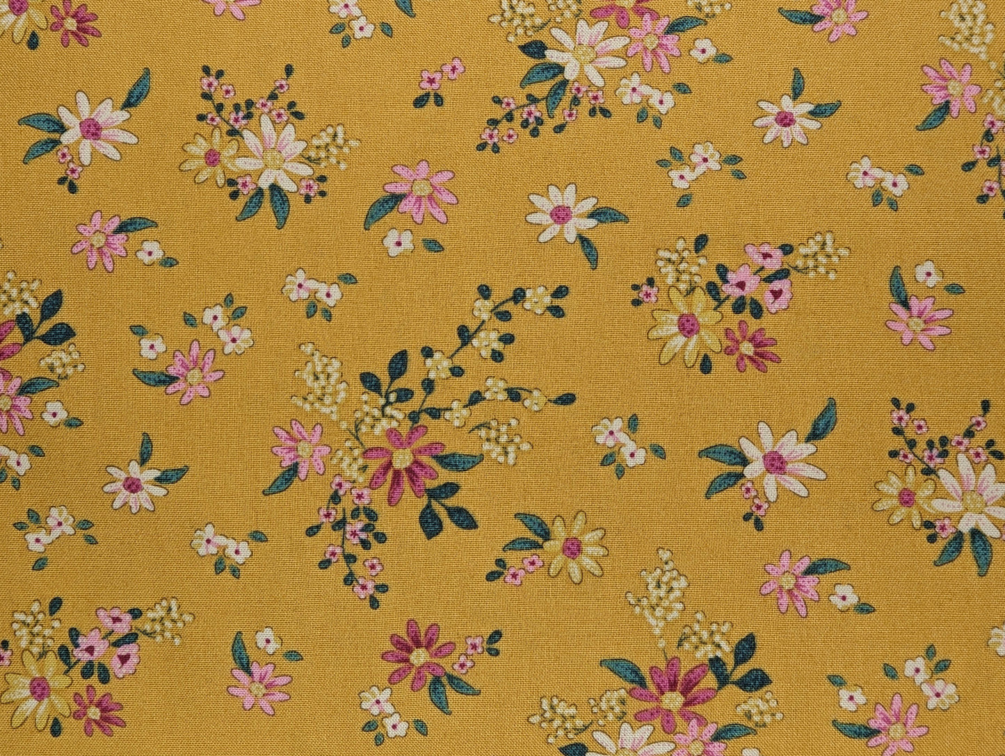 Daisyfield Mustard 2