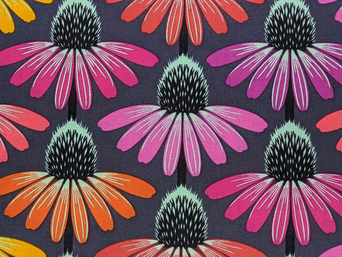 Echinacea Glow Pink