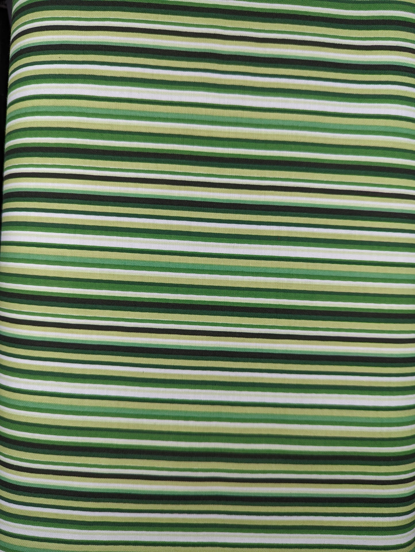 Garden Stripe Green