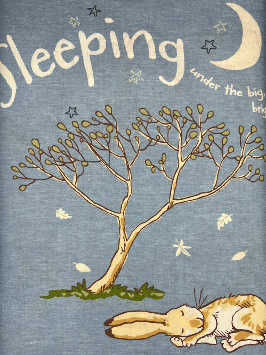 Guess How Much I Love You