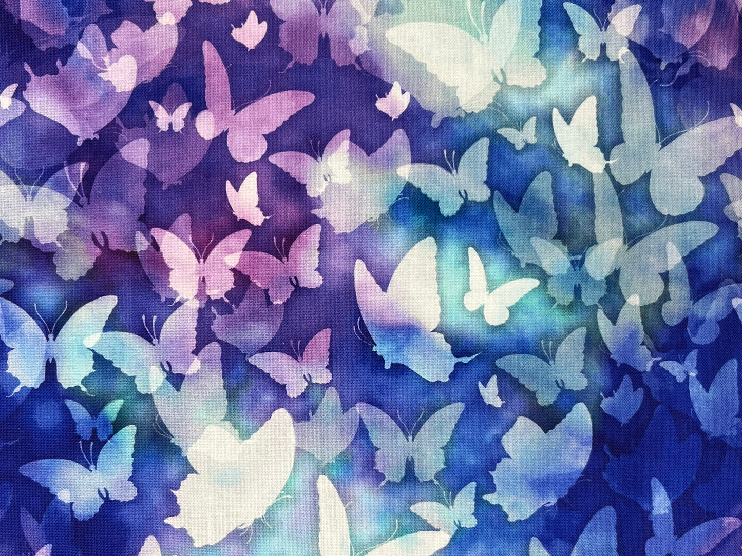 Butterfly dreams multi purple