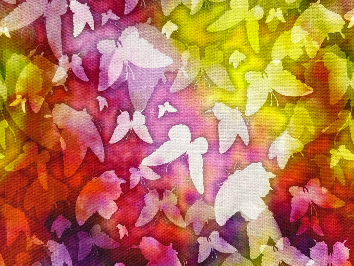 Butterfly Dreams Multi Pink