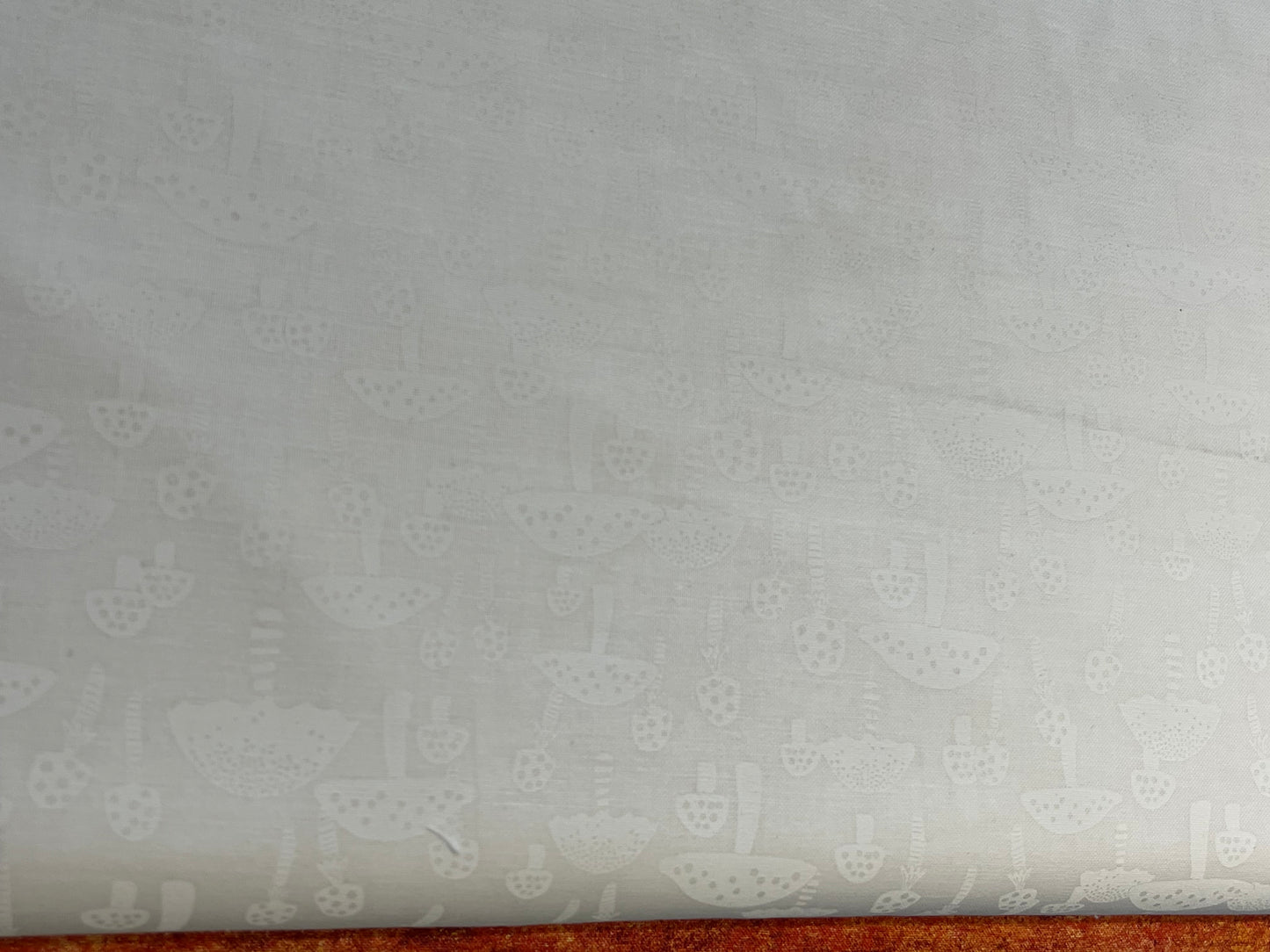 STELLA White Mushrooms