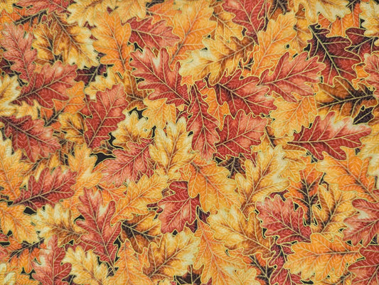 Sweet Pumpkin Spice Autumn