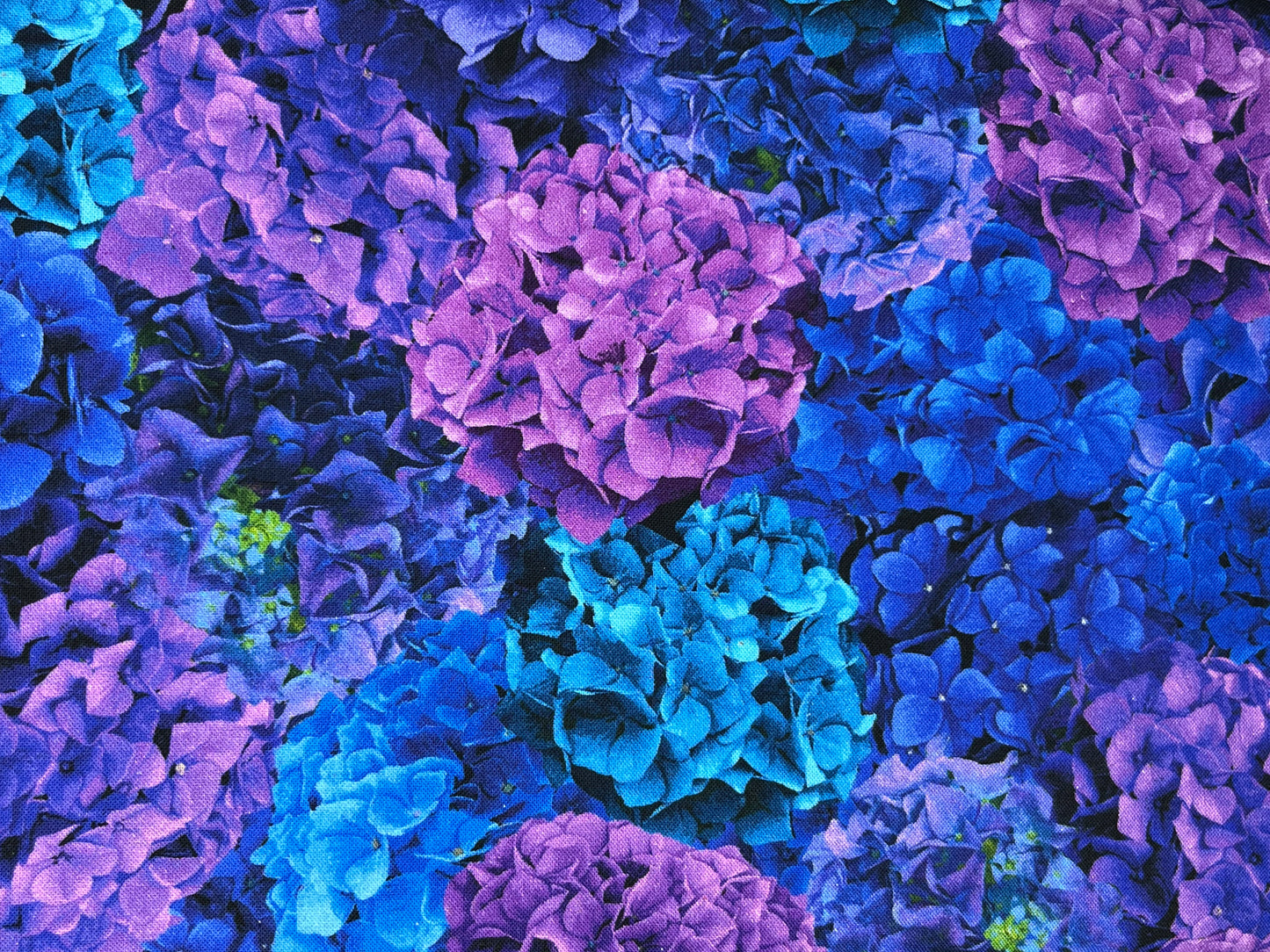 TimelessTreasures Midnight Bloom Multi Hydrangea