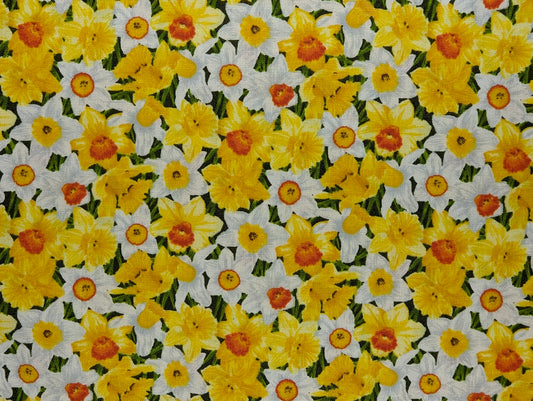 Honey Flower One