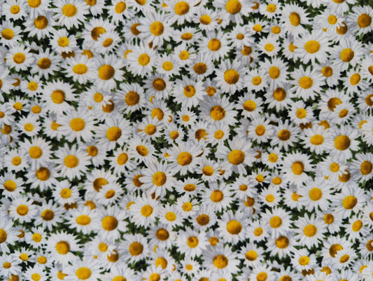 Honey Flower Three