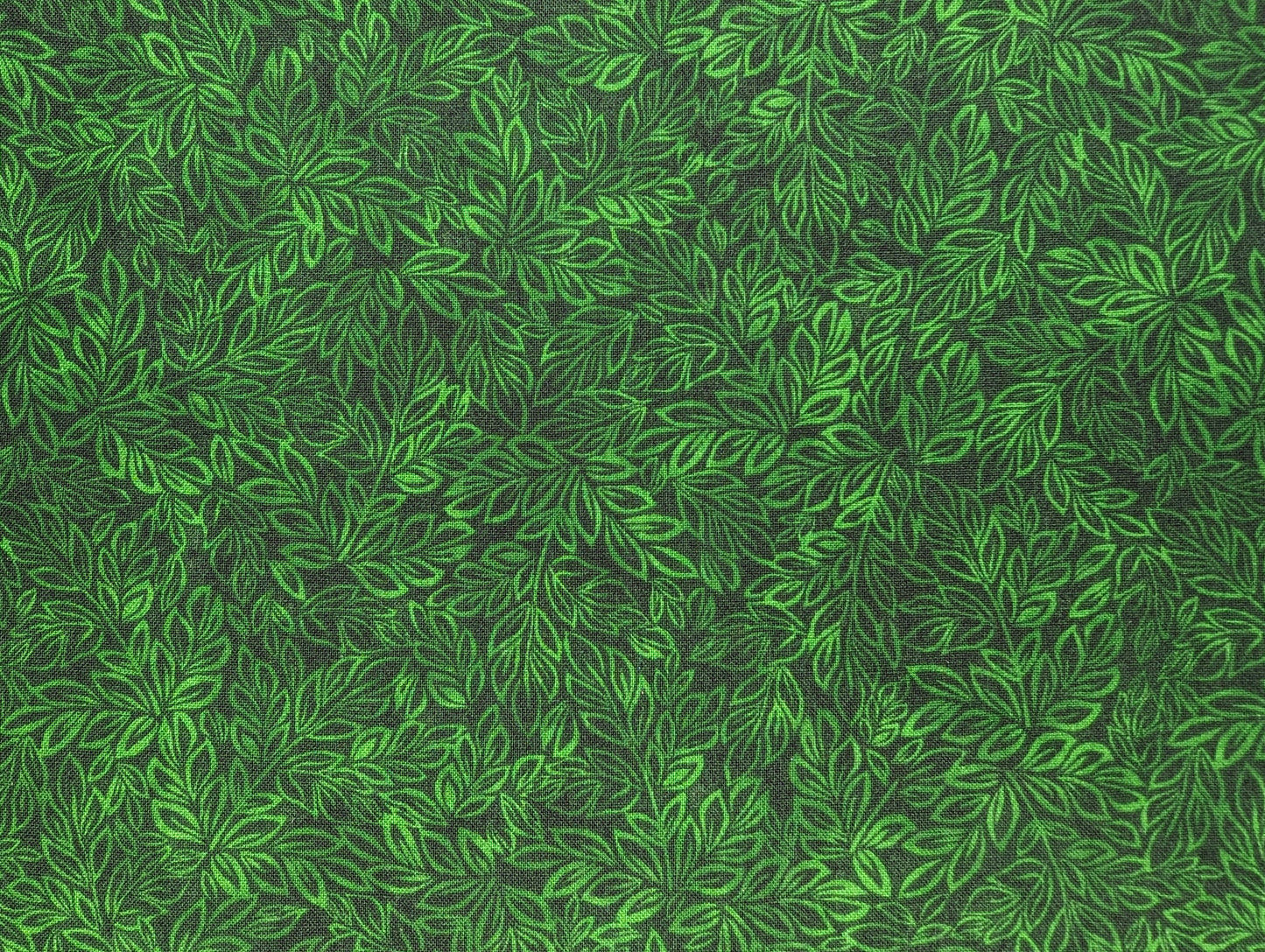 Meadow-pine